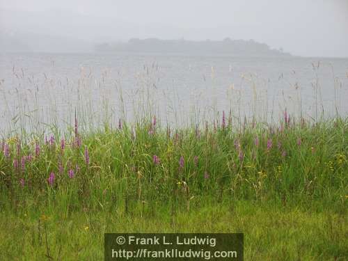 Lough Gill, County Sligo